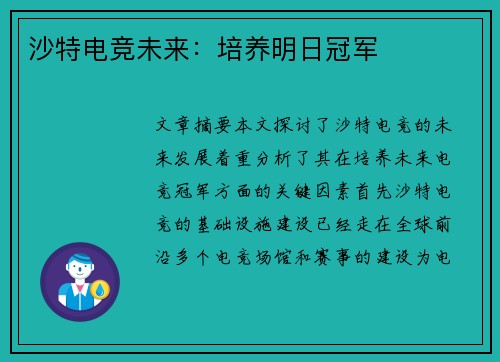 沙特电竞未来:培养明日冠军 沙特电竞未来:培养明日冠军